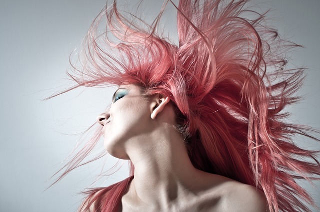 pink-hair-1450045_640k1 pink-hair-1450045_640k1